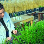 Ingeniería en Agrobiotecnología: Inscripción 2020