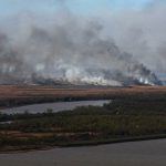 Incendios en el Delta: Isleñxs y humedales en peligro