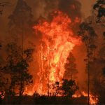 Webinar “Incendios y territorios amenazados: ¿políticas ambientales en entredicho?”