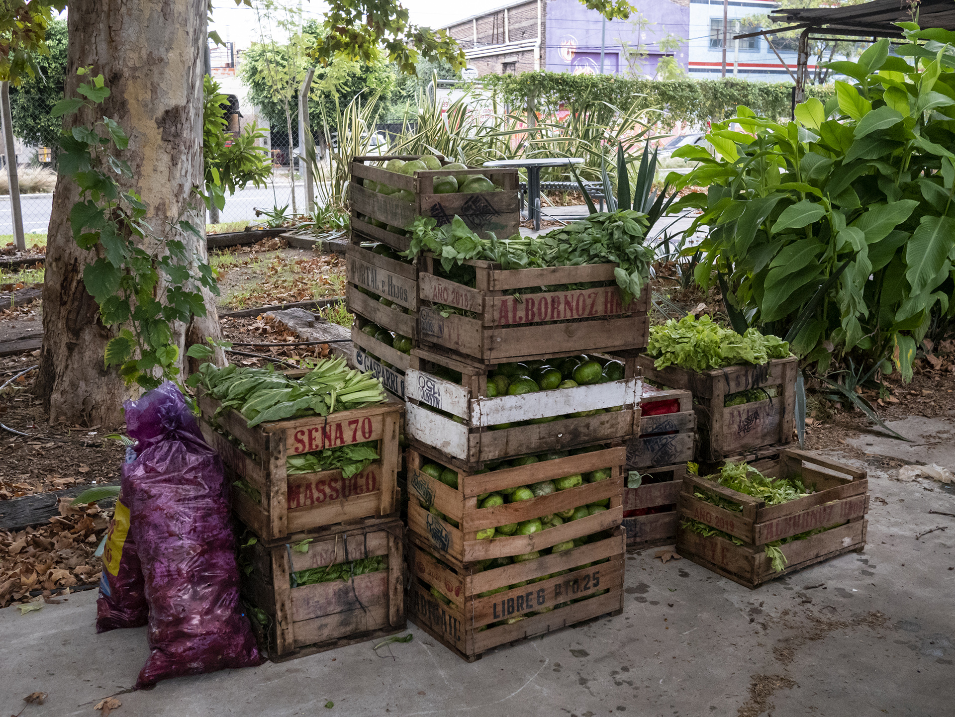 Mercados Comedores Y Universidad El Camino De La Alimentaci N