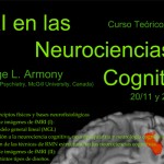 Curso sobre Resonancia Magnética Funcional en las Neurociencias Cognitivas