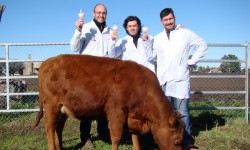 El equipo de científicos del IIB-INTECH y el INTA celebra la confirmación de que de Rosita ISA da leche similar a la humana