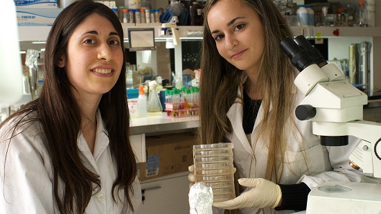 Yamila Cutraro y María Laura Marcos, del Instituto de Investigaciones Biotecnológicas de UNSAM-CONICET.