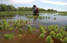 Muestreo de agua en Delta Paraná