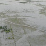 Los humedales y el efecto de las inundaciones