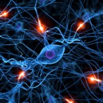 Nuevo centro de estudios en sistemas complejos y neurociencias