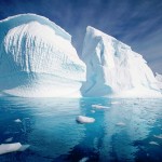 Búsqueda laboral del Instituto Antártico Argentino