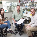 Investigadores del IIB-INTECH desarrollan kits para la detección de alérgenos y zika