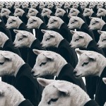 Econofísica: Diálogo abierto sobre el “efecto manada” y la concentración de la riqueza