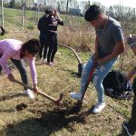 Jornada de plantación en la Escuela: Cultivando un futuro mejor