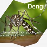 Dengue: Recomendaciones para su prevención