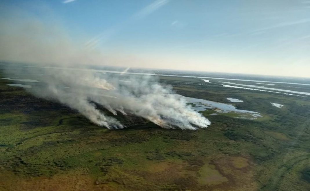 El Delta en llamas: Incendios en las islas del Bajo Paraná » Noticias UNSAM