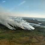 El Delta en llamas: Incendios en las islas del Bajo Paraná