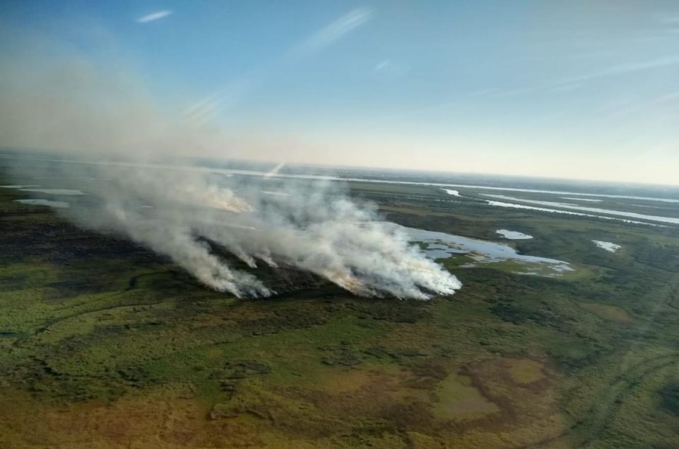 El Delta en llamas: Incendios en las islas del Bajo Paraná » Noticias UNSAM