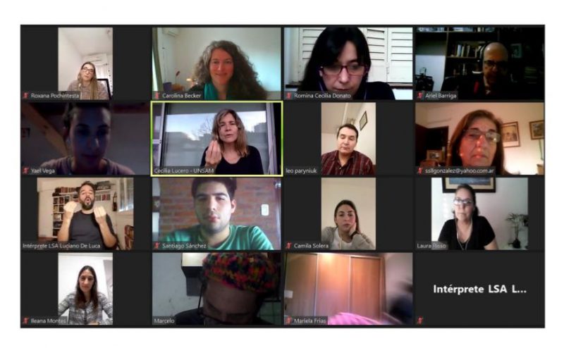 Captura de pantalla de la reunión virtual de la Comisión