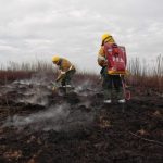 Incendios en el Bajo Paraná: “No pensamos el Delta como un santuario de la naturaleza, sino con la gente adentro”