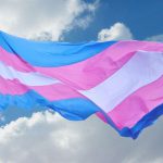 Día Internacional de Acción por la Despatologización Trans: existencias disidentes en la universidad y en la producción de conocimiento científico