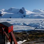 Gabriela Mataloni: “El estudio de los humedales es central para la conservación de la Antártida”