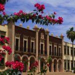 Convocatoria para estudiantes de UNSAM: Cursada online en la Universidad de Sonora, México