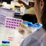 Investigadores de la UNSAM y del CONICET avanzan en el desarrollo de tratamientos contra el virus Chikungunya