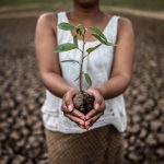 Primer Foro por los Derechos de la Madre Tierra “Hacia la democracia ambiental en América Latina”