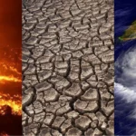 Fondos para proyectos de investigación sobre cambio climático