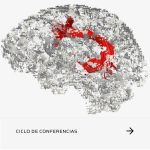 Ciclo “El lenguaje en la mente y el cerebro”