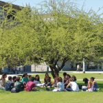 Materias de verano 2025 para estudiantes de grado